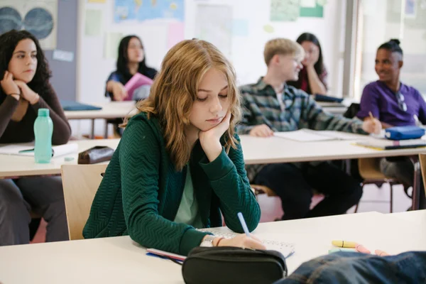 assignment writing service